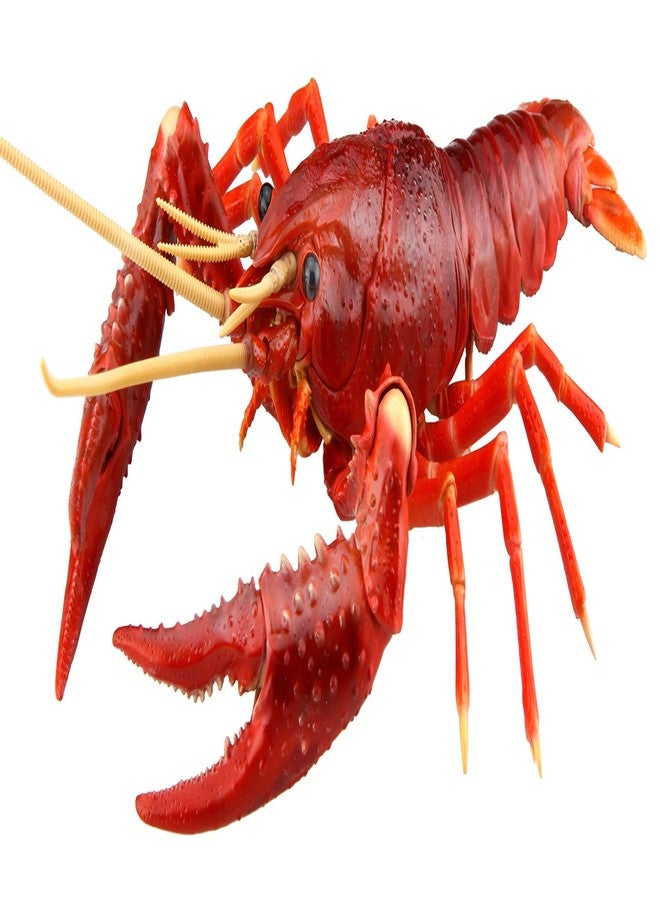Fujimi Jiyuu Kenkyuu Series No.24 Living Things Swamp Crayfish (Red) Plastic Model - Image 1